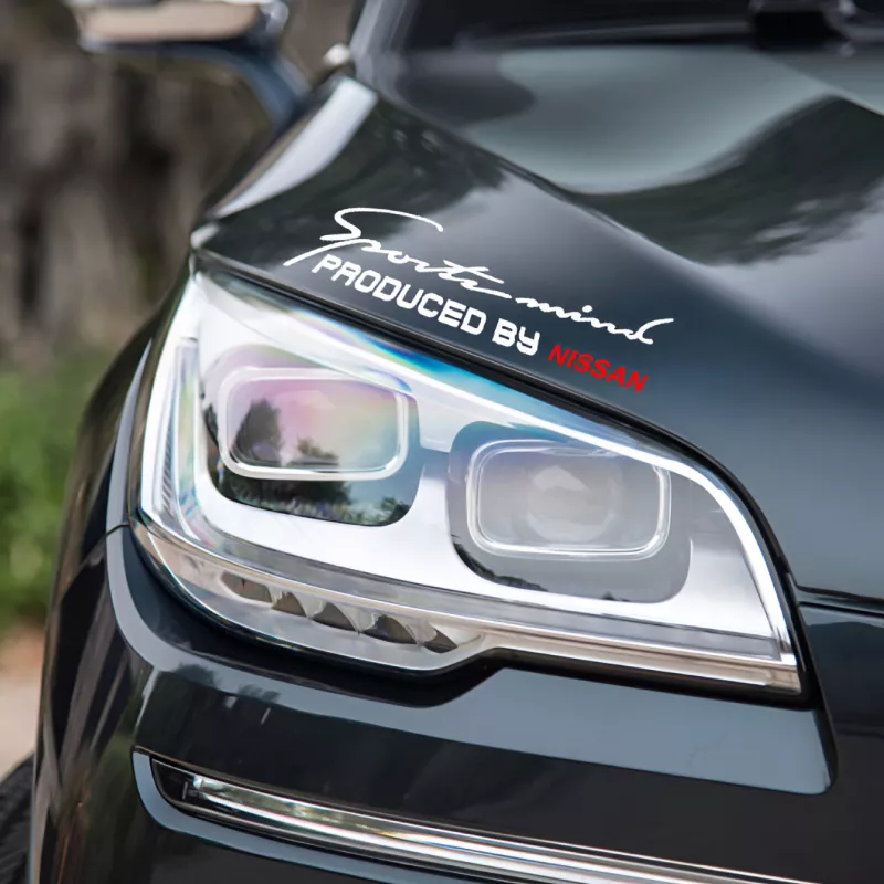 Car Emblem Light Eyebrow Stickers for Nissan - Image 4