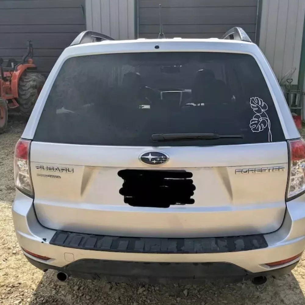 Chic Monstera Leaf Vinyl Decal - Image 5