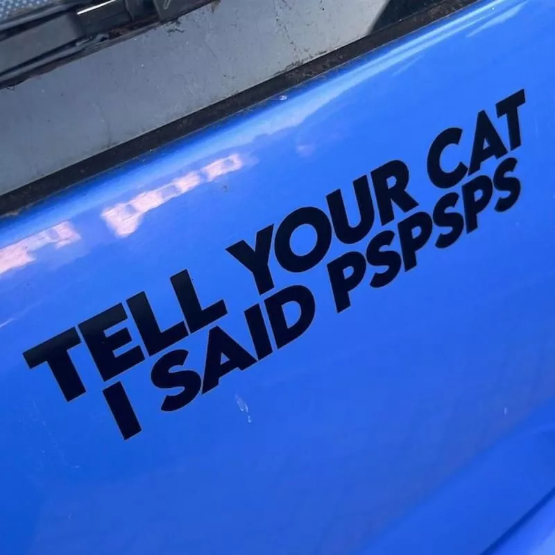 Cat Humor Car Decal – "Pspsps" Cat Whisperer Vinyl Sticker - Image 5
