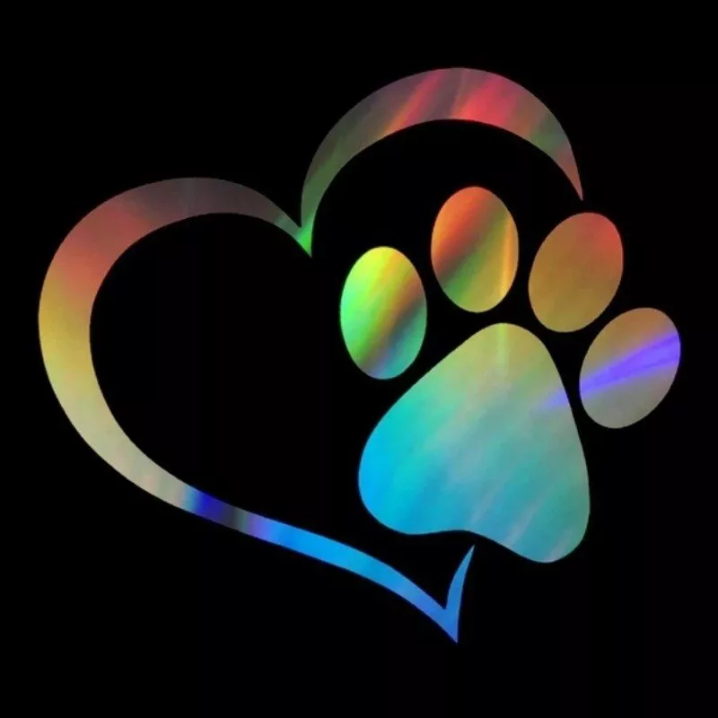 Adorable Heart & Paw Print Car Sticker - Image 7