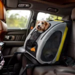 2-in-1 Pet Travel Cart & Car Seat – Fits Tesla, Toyota, Honda Vehicles 3 12278-bee950.webp