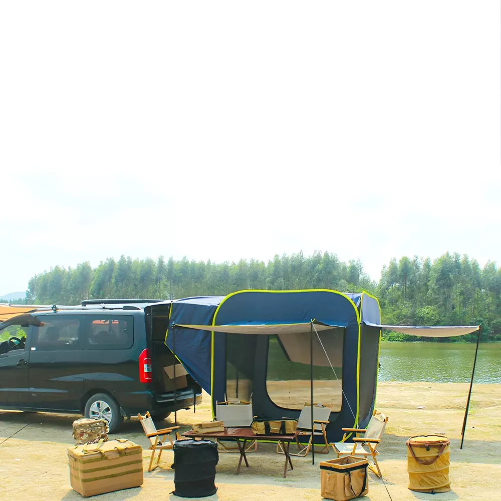 13030-3ff53d.webp