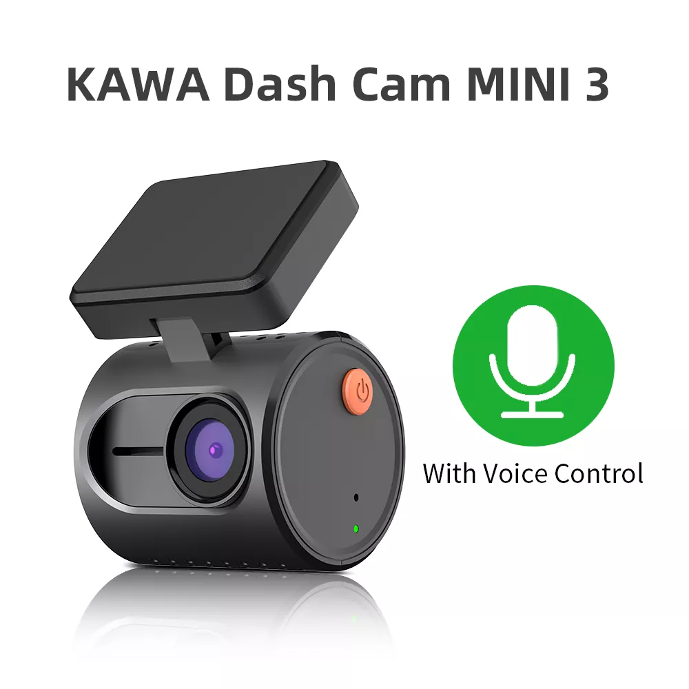 Black Voice Control