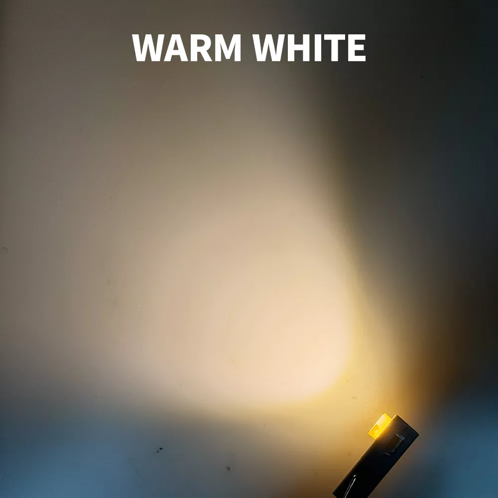 Warm White