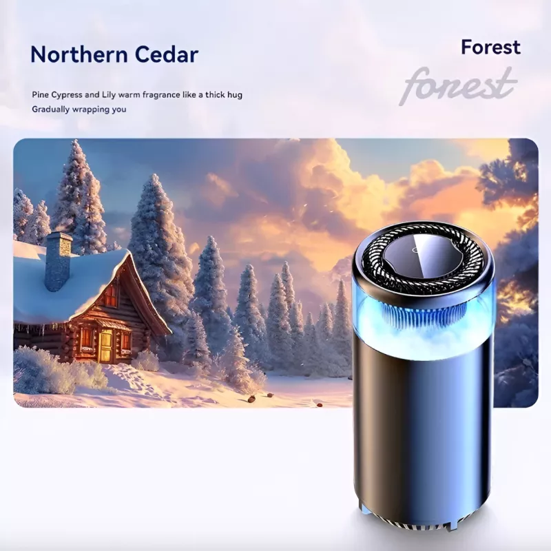 Forest