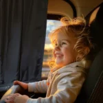 Car Sun Shade Side Window Curtain 8 33333 3d261b