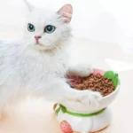 Ceramic Cat & Dog Bowl with Neck Protection 5 33625 73e237