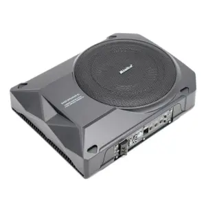 10 Inch High-Power Active Subwoofer